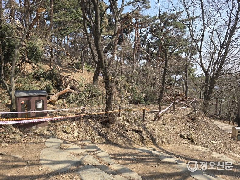 남한산성 정상 휴게공간 부려진나무 가지 