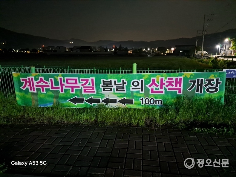 계수나무 둘레길 산책로