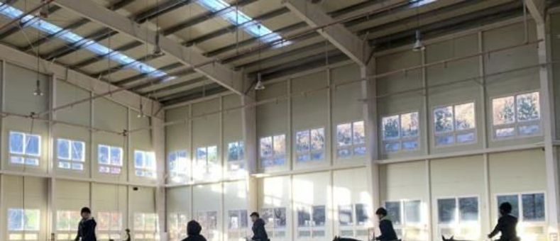 양평군, 2025년 하반기 학생승마체험 신청 접수