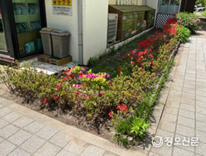 구민이 행복한 정원 도시 조성 광진구, 나무 심기 지원 사업 참여자 모집!