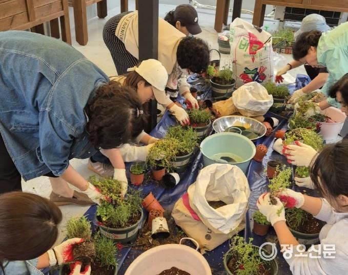 구로구 정원지원센터의 일일 강좌(원데이 클래스) 참가자들이 화분에 식물을 심고 있다.