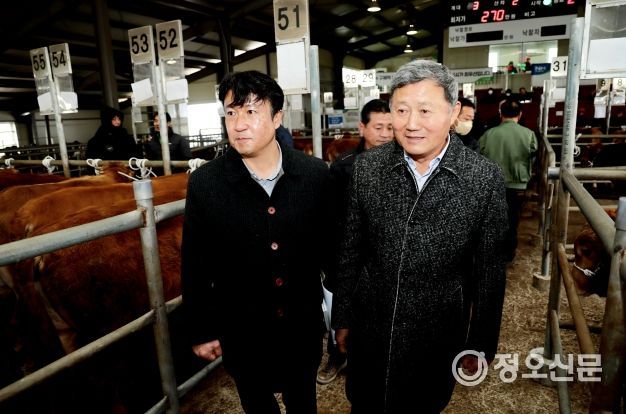 제주시, “다양한 시책 발굴로 축산농가 시름 덜겠다”