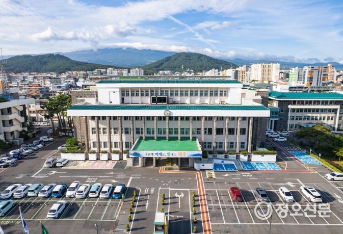 제주도, 고품질 감귤 생산 위한 1/2 간벌 사업 본격 추진