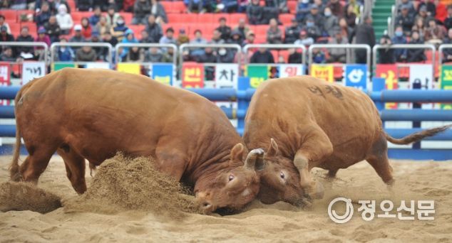 청도공영사업공사, 지역사회와 상생·발전하는 모범 지방공기업으로 성장중!