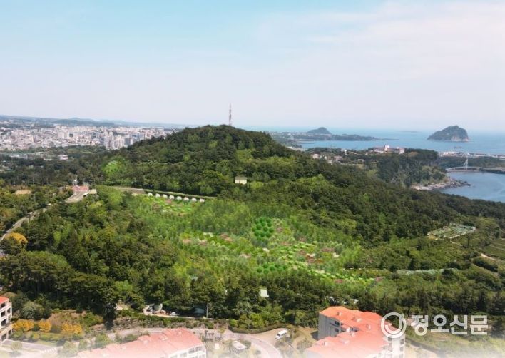 2025년 삼매봉공원 디딤확산숲 조성 조감도