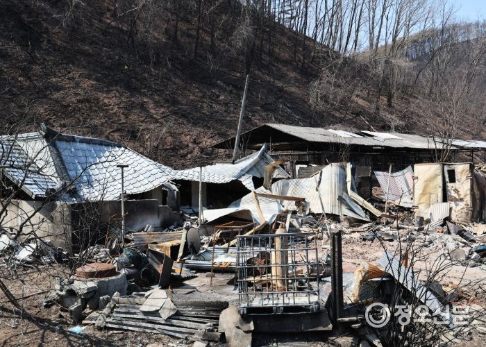 영양군, 이재민 임시주거용 조립주택 조기설치를 위한 TF팀 구성