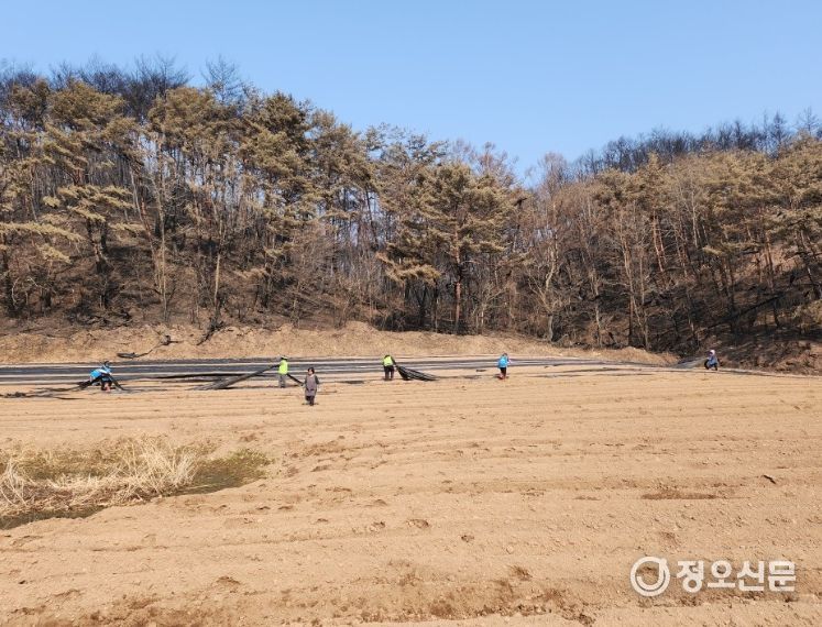 농가 긴급 일손돕기 지원