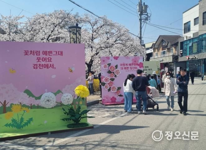 김천시달라진 연화지 벚꽃, 내년이 더 기대된다