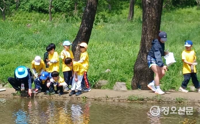 양재천생태프로그램