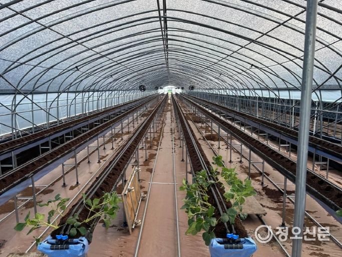 ‘수출용 고설딸기 재배시설 환경개선 지원사업’ 딸기 수출 증가에 한 몫!