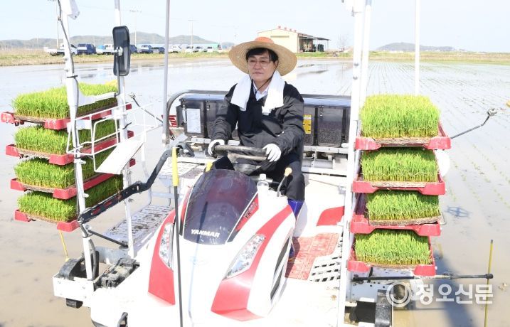 강화군, 올해 첫 모내기
