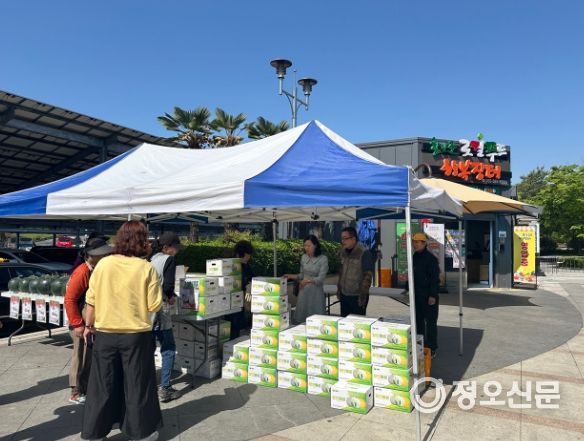 함안 대표 특산물 함안수박·가야백자멜론 휴게소 판매‥‘큰 인기’