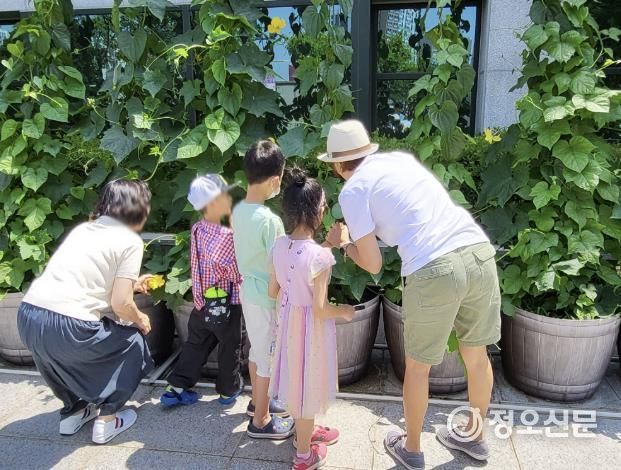수정도서관은 녹색 휴식공간인 그린커튼을 활용해 자연환경 교육을 추진한다.