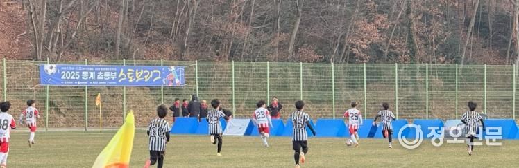 스포츠 메카 강진, 강진청자배 중등 축구 페스티벌 개최