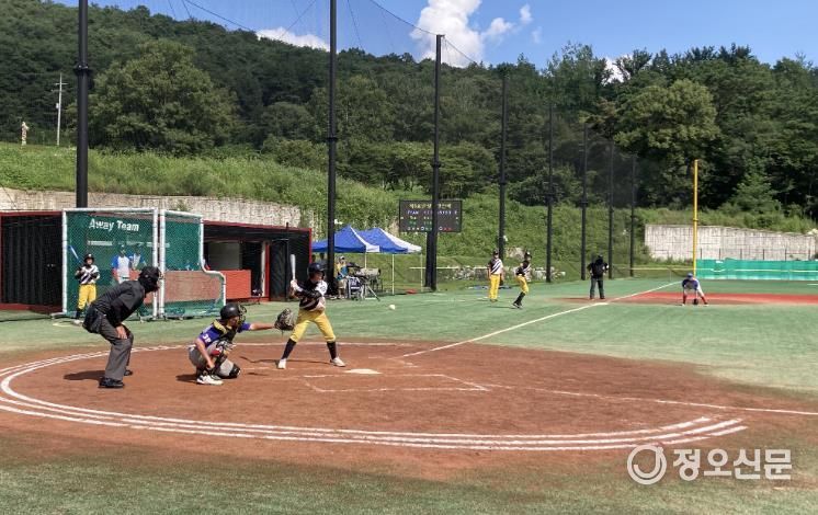 전국 유소년 야구대회 자료사진