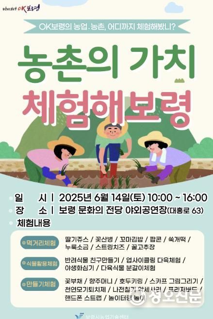 농촌의 가치, 체험해보령 포스터